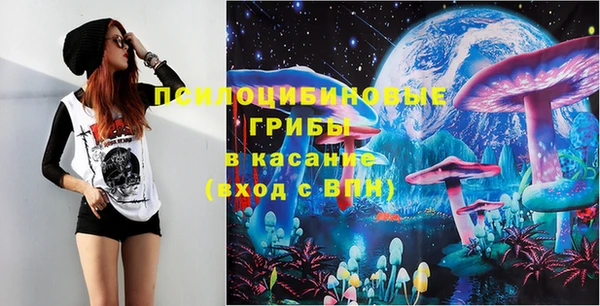 метадон Осташков