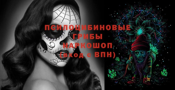 ECSTASY Алексин