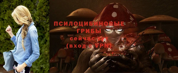 соль ск Алексеевка