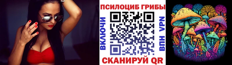 хочу   Углич  Псилоцибиновые грибы Psilocybine cubensis 