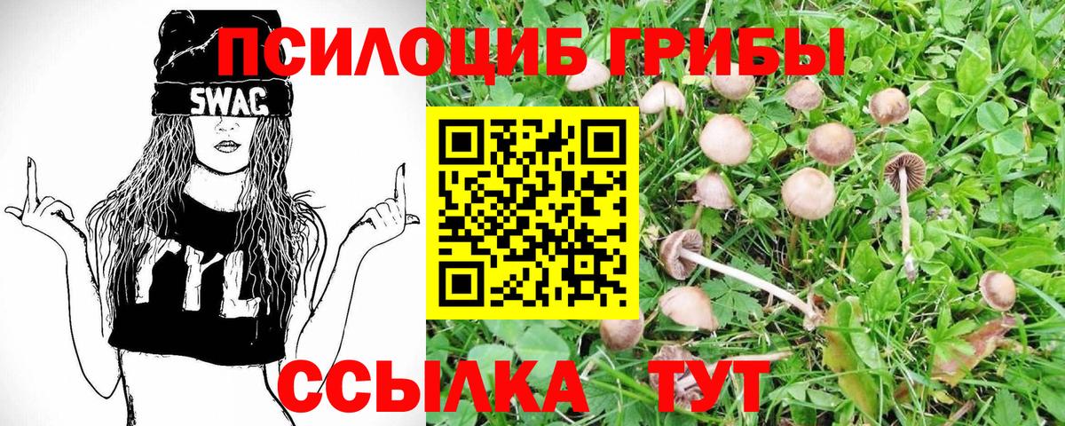 Углич  Псилоцибиновые грибы прущие грибы  Вход с VPN  Псилоцибиновые грибы Magic Shrooms 