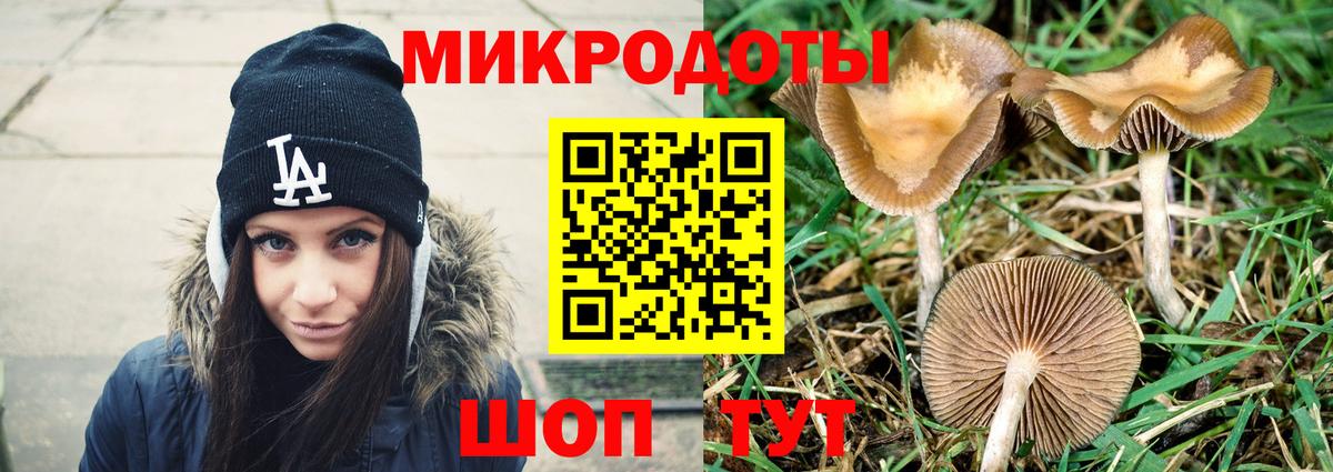 Галлюциногенные грибы ЛСД Углич